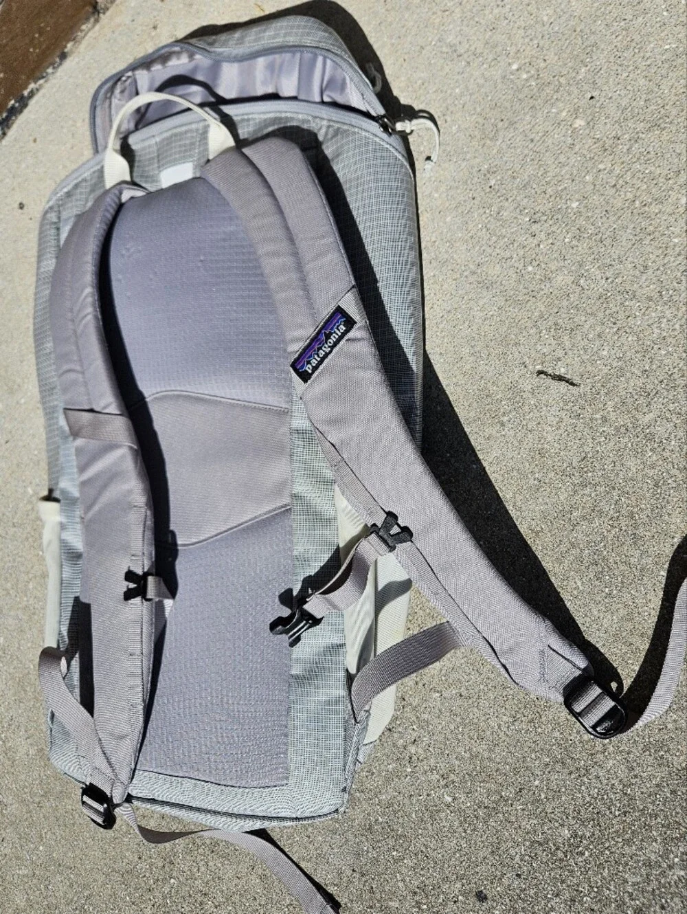 Patagonia 25L Black Hole Backpack Gray